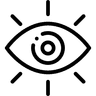 VISION icon